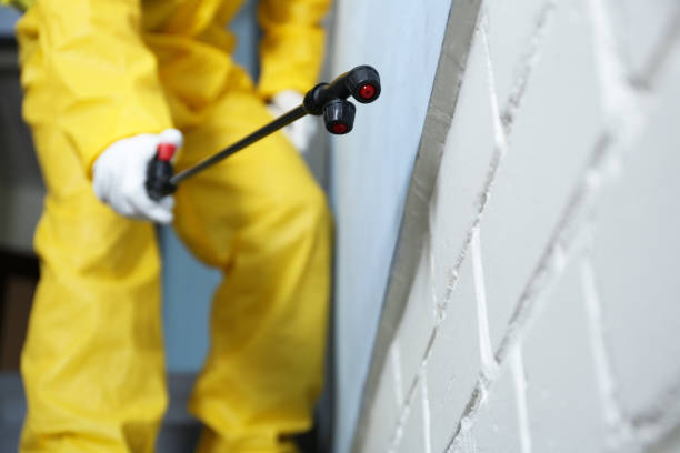 Best Pest Exclusion Services  in Bigfork, MT